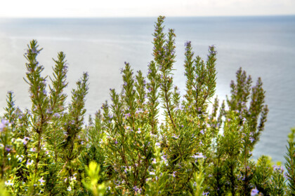 Convento Monterosso